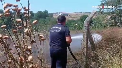 İstanbul Silivri'de buğday tarlasında yangın!