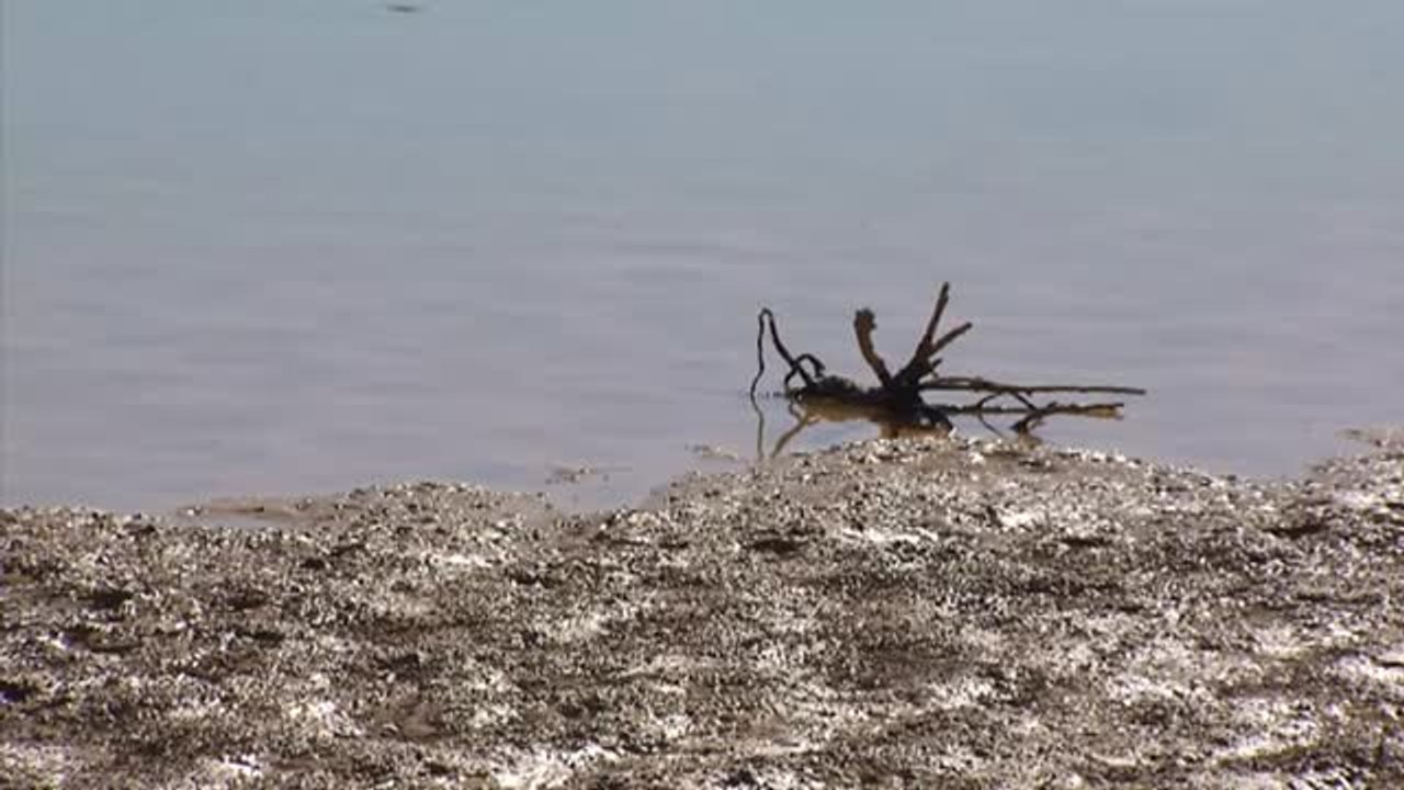 Embalses bajo mínimos: la sequía desploma los niveles de las reservas hídricas