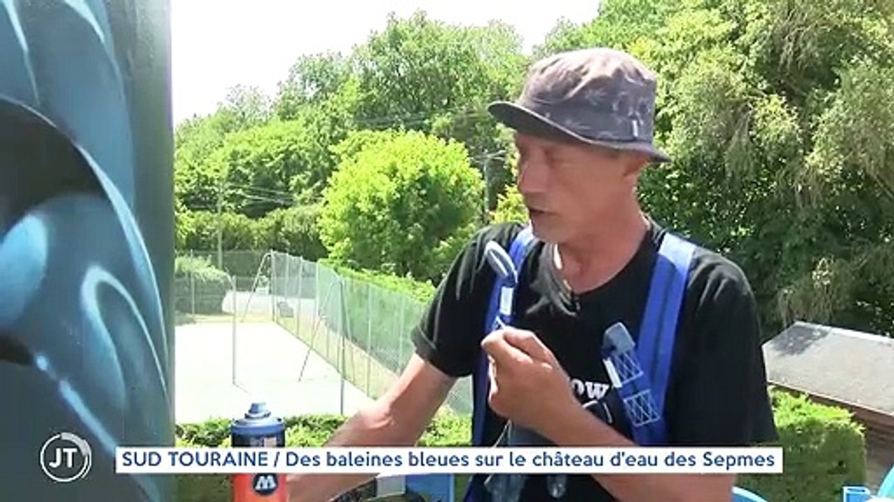SUD TOURAINE / Des baleines bleues sur le château d'eau de Sepmes