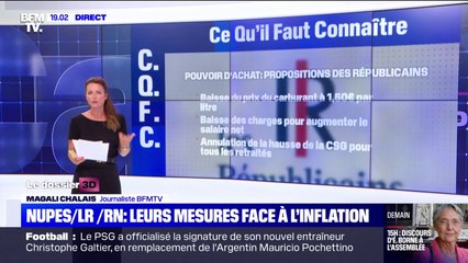 Nupes, LR, RN: quelles sont leurs mesures face à l'inflation?