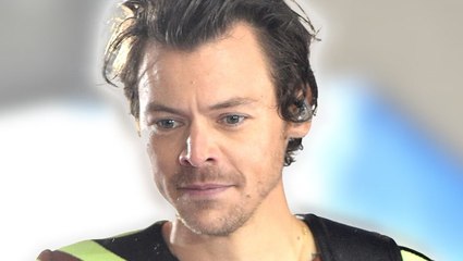 Harry Styles Is ‘Heartbroken’ After Copenhagen Shooting Near Concert Venue