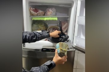 Bandido de alta periculosidade é preso na PB e polícia encontra cerca de R$ 29 mil em geladeira