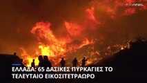 Συνολικά 65 δασικές πυρκαγιές το τελευταίο 24ωρο στην Ελλάδα