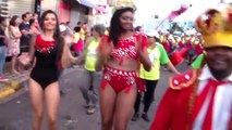 BLOCO DA VACA - CARNAVAL ARTUR NOGUEIRA 2015 P1