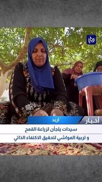 سيدات يلجأن لزراعة القمح وتربية المواشي لتحقيق الاكتفاء الذاتي