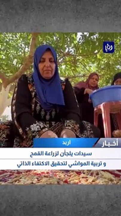 سيدات يلجأن لزراعة القمح وتربية المواشي لتحقيق الاكتفاء الذاتي