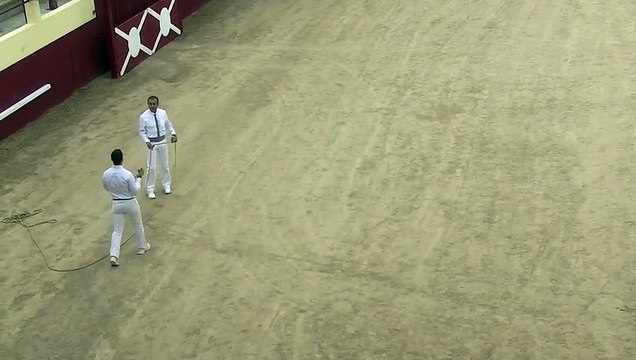 03.07.2022 Souprosse La Mecque Vert Galant Concours de Seconde Présentation