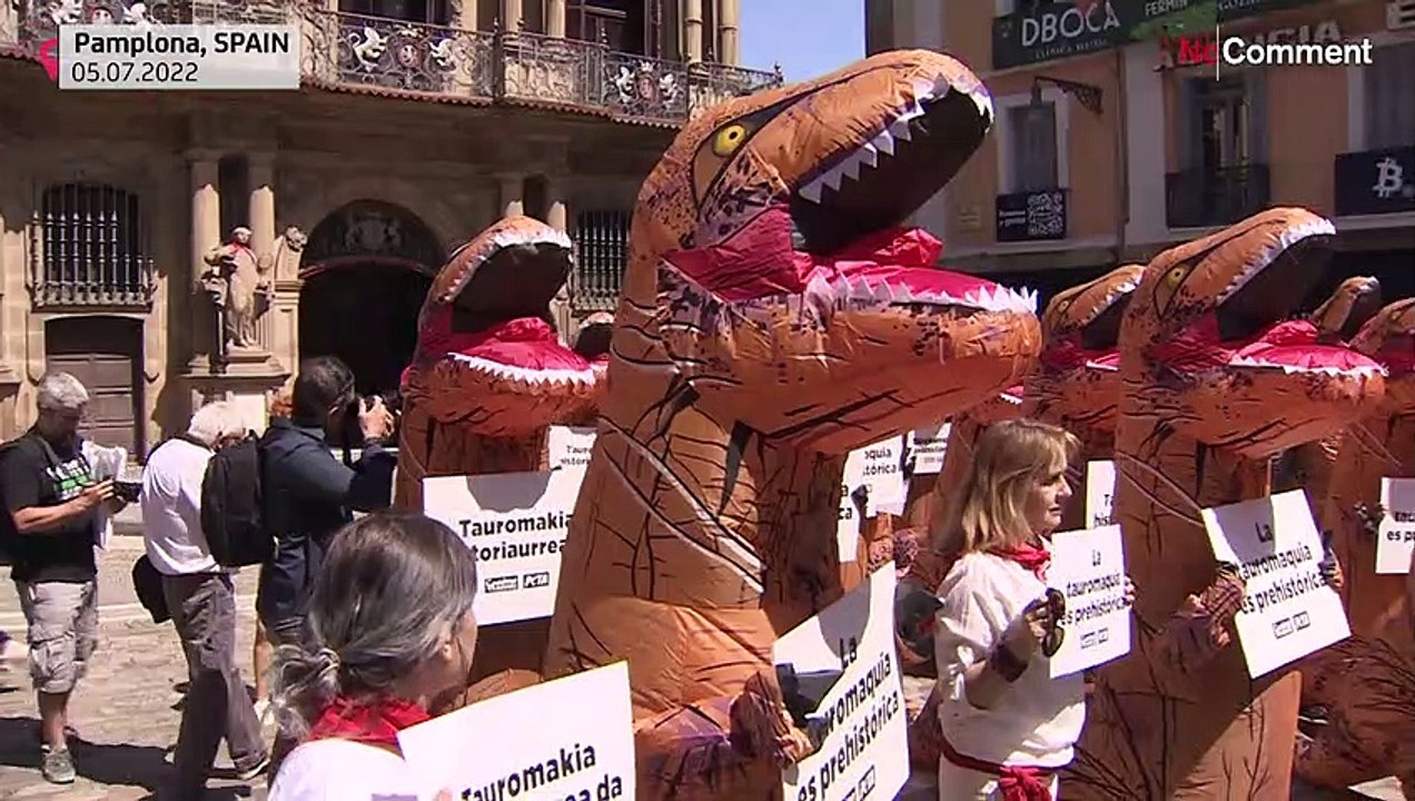 Tierschützer laufen Sturm gegen Stierrennen in Pamplona