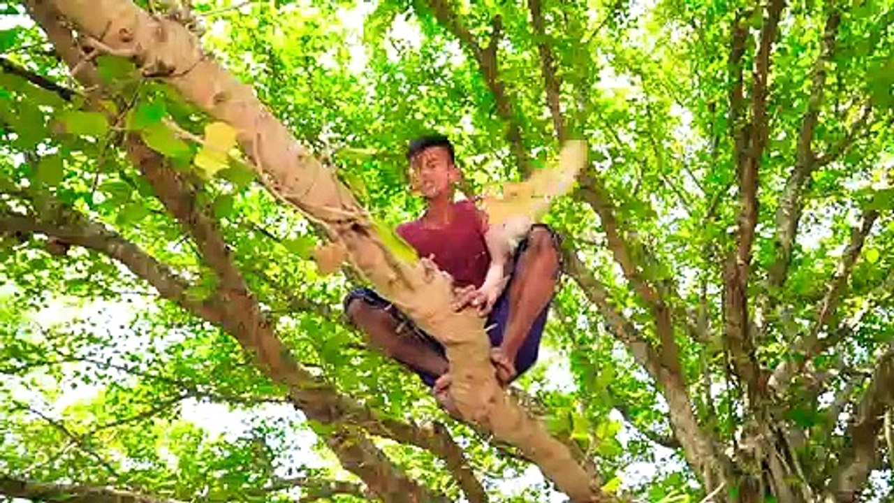 Funniest Fun Amazing videos must Entertainment comedy 2022Try To Not Laugh Episode 141 By Funny Da