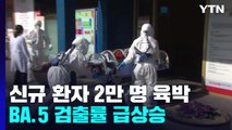 신규 환자 2만 명 육박...고위험군 4차 접종 당부 / YTN