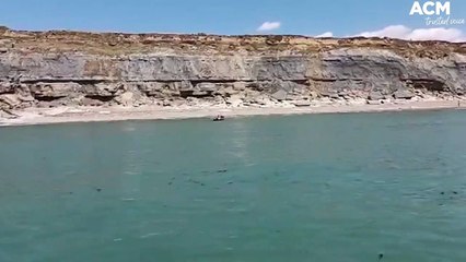 Craig Clarke arrives on the French coastline after English channel swim | July 6, 2022 | Newcastle Herald