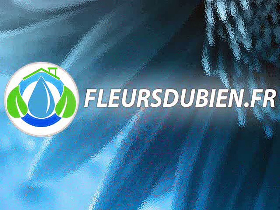 Branchement d'un ballast ETI 400W - Fleursdubien