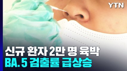 신규 환자 2만 명 육박..."재유행 대비 특수·응급 병상 확보" / YTN
