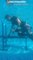 Professional Swimmer Does Weight Lifting Exercises Underwater in Pool