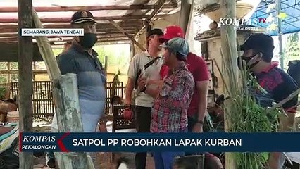 Satpol PP Robohkan Lapak Kurban