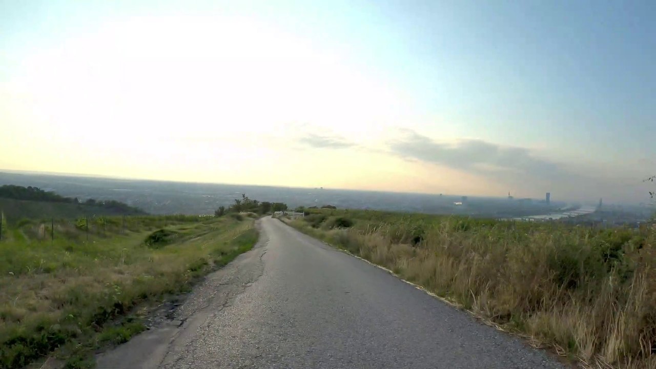 Wien Döbling: Kahlenberg downhill frühmorgens