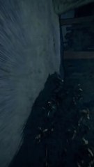 Demonslayer-Inosuke edit