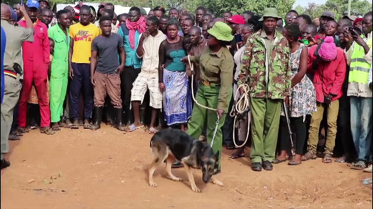 Night of Horror: Two night guards killed by unknown people; the two were hit using blunt objects