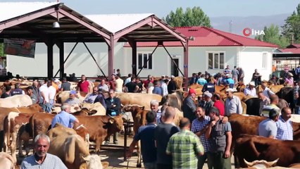 Kurbanlıklara büyük denetim başladı: Ekipler Kurban pazarlarına girdi