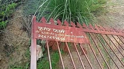 सरपंच के फार्म हाउस का कैंपर से दरवाजा तोड़ा, पथराव कर दी जान से मारने की धमकी