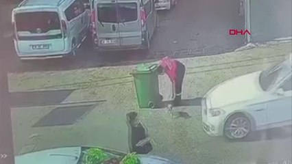ATAŞEHİR'DE YAVRU KÖPEĞİ OTOMOBİLLE EZEN SÜRÜCÜ, YOLUNA DEVAM ETTİ