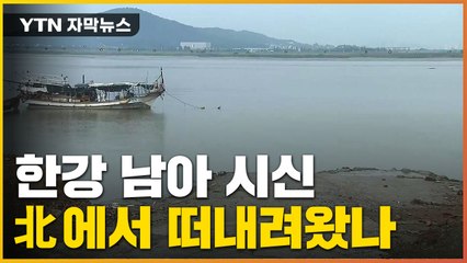 [자막뉴스] "빨간 반바지 차림"...한강 남아 시신, 北에서 떠내려왔나 / YTN