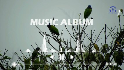 Sangee Movie Romantic Background Music _ Copyright Free Music _ Music Album