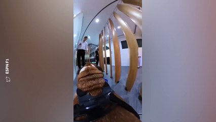 Quand le chien de Lewis Hamilton nous fait vister les coulisses de la F1