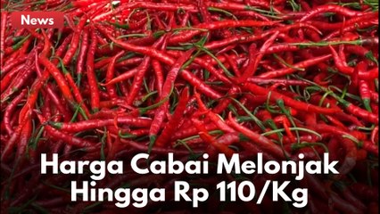 Harga Cabai di Pasar Tradisional Pekanbaru Melonjak Hingga Rp 110/Kg !!
