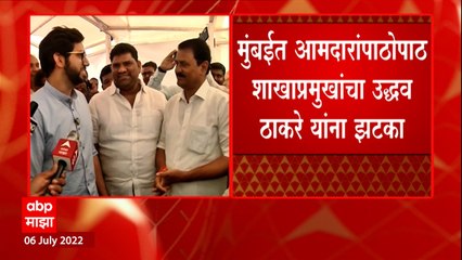 Shiv Sena : मुंबईत आमदारांपाठोपाठ शाखाप्रमुखांचा उद्धव ठाकरे यांना झटका ABP Majha