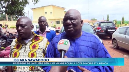 Fête de la Tabaski : le ravitaillement en bétail, un défi permanent pour la Côte d’Ivoire (Eco plus)