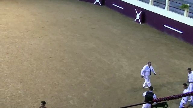 03.07.2022 Souprosse La Mecque Vert Galant Concours de Seconde Finale Ecarteurs