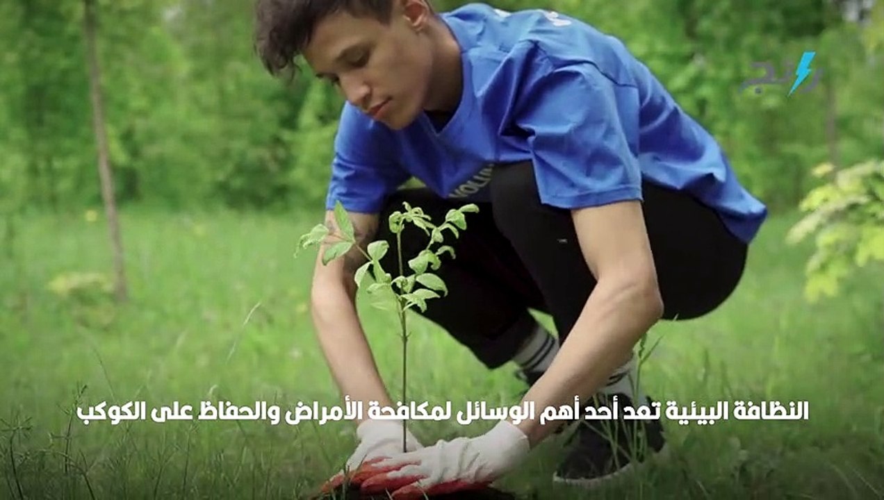 البيئة