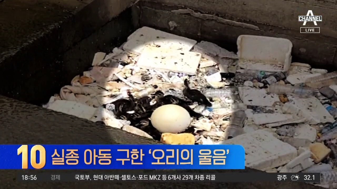 실종 아동 구한 ‘오리떼의 울음’