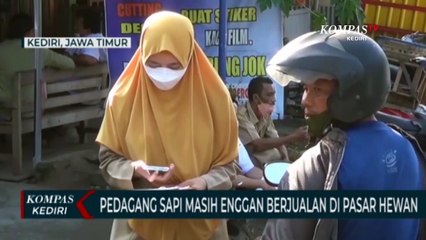 Pasar Hewan Kembali Dibuka, Pedagang Sapi Masih Enggan Berjualan