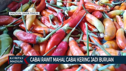 Cabai Rawit Mahal Cabai Kering Jadi Buruan