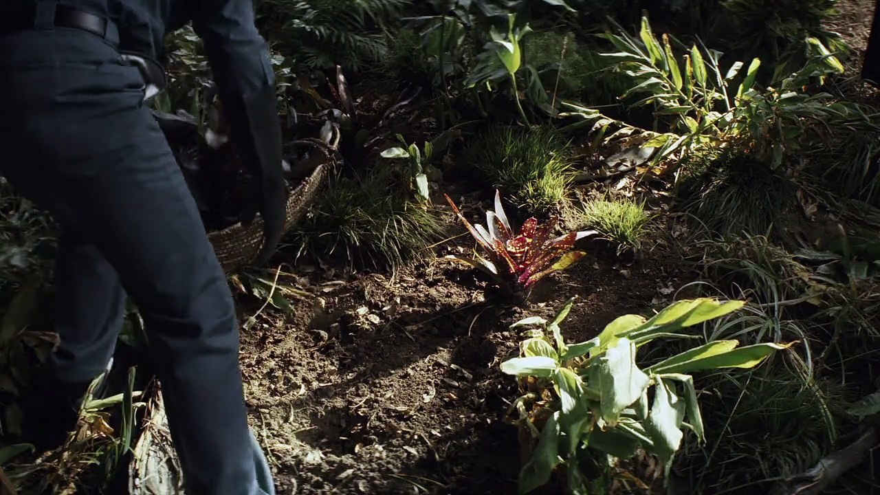 Homecoming Staffel 1 Folge 4 HD Deutsch