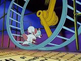 Pinky & der Brain Staffel 1 Folge 7 HD Deutsch