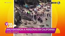 Leones marinos ahuyentaron a turistas en playa de California