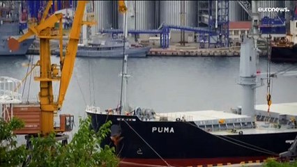 Negociaciones para el cereal ucraniano