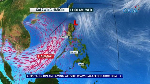 DOH: 40 % ang itinaas ng dengue cases sa Calabarzon kumpara noong 2021 | 24 Oras News Alert