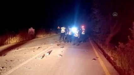 Son dakika... Trafik kazasında 1 kişi öldü, 1 kişi yaralandı