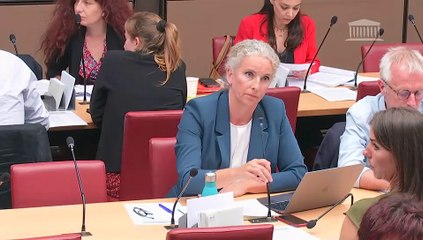 Commission des affaires économiques :  Mesures d’urgence pour la protection du pouvoir d’achat - Mardi 12 juillet 2022