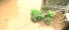 Gujarat Rain Updates: Severe water-logging in Navsari | ABP News