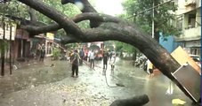 Maharashtra Rains: Tree fell after heavy downpour in Dadar, Mumbai | ABP News