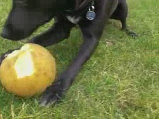 Sassy 25 Février 2008