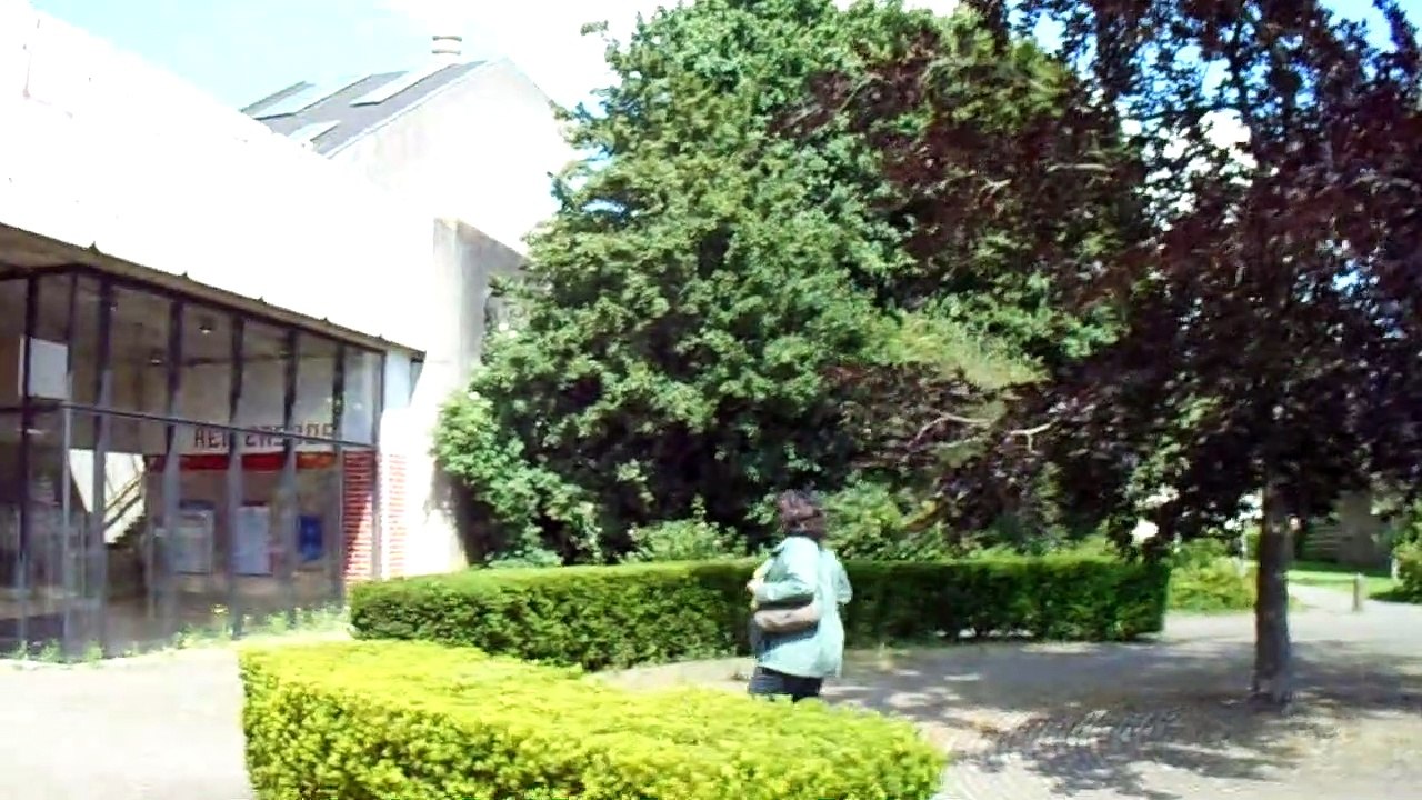 MOV00369