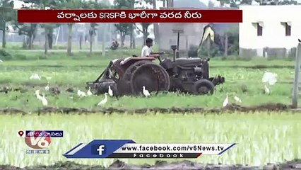 Heavy Rains In Telangana , Farmers Busy With Farm Works _ V6 News
