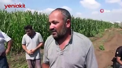 Adana'da tıkanan su borusundan ceset çıktı!