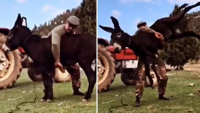 Kırkpınar Başpehlivanı Cengizhan Şimşek'e memleketi Antalya'da coşkulu karşılama